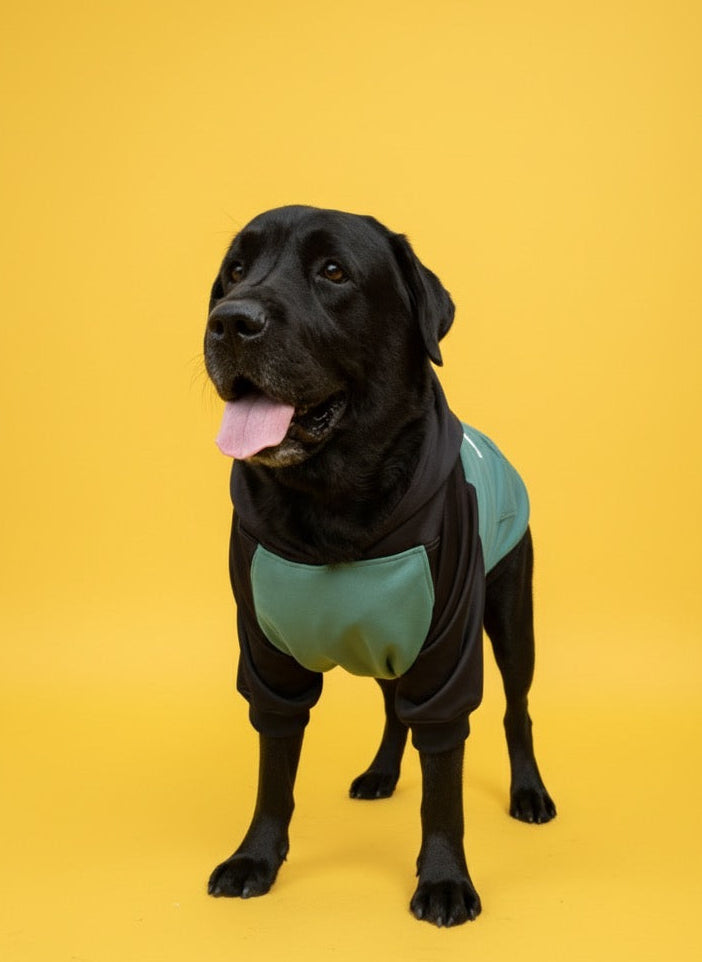 LuckyPaws Dual Colour Sweatshirt With Black Pocket