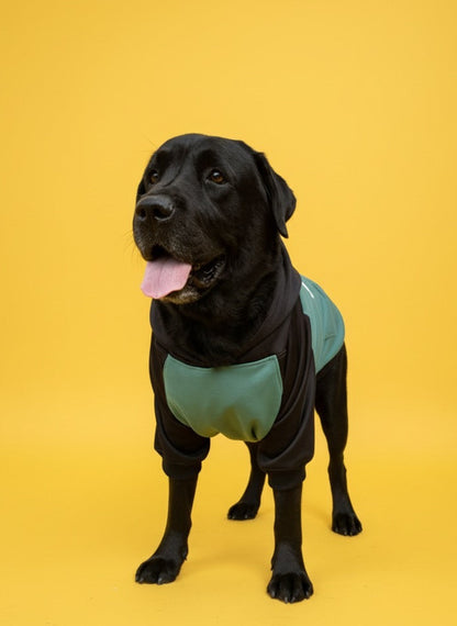 LuckyPaws Dual Colour Sweatshirt With Black Pocket