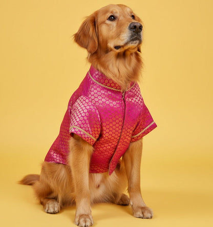 LuckyPaws  Ethnic Sherwani Pink Colour