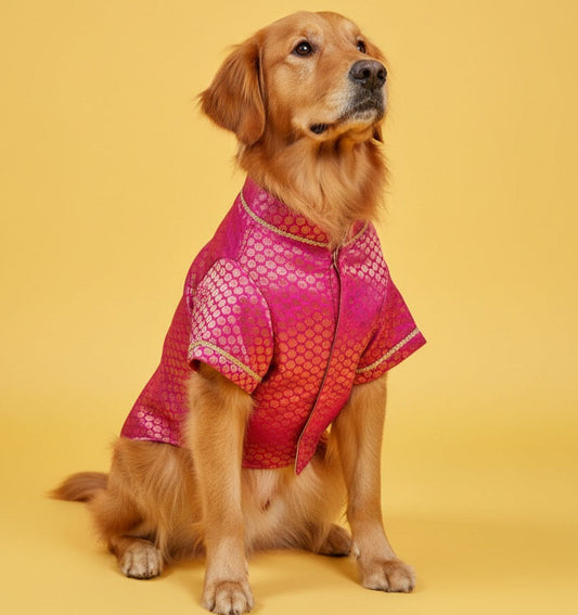LuckyPaws  Ethnic Sherwani Pink Colour