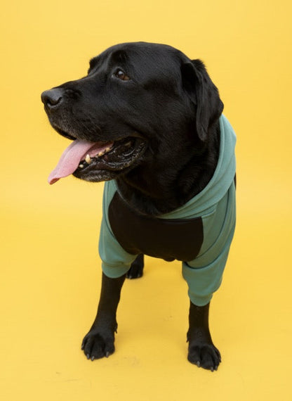 LuckyPaws Dual Colour Sweatshirt With Green Pocket