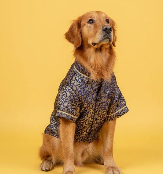 LuckyPaws Ethnic  Sherwani Blue Colour