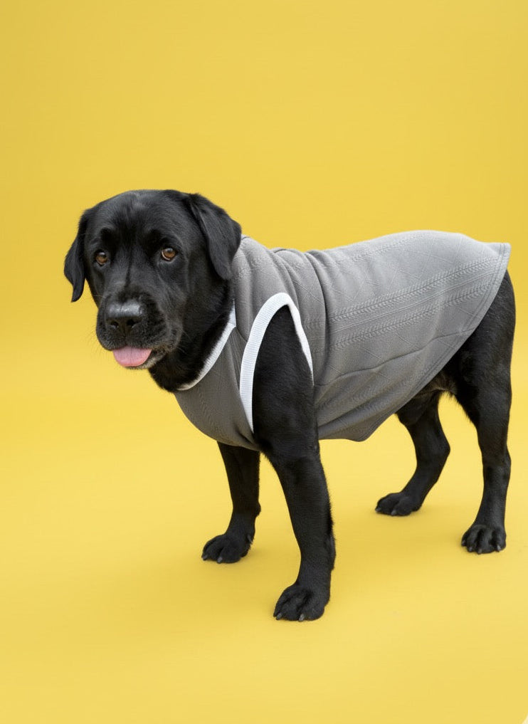 LuckyPaws Grey Colour Sweater