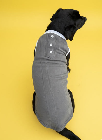 LuckyPaws Grey Colour Sweater