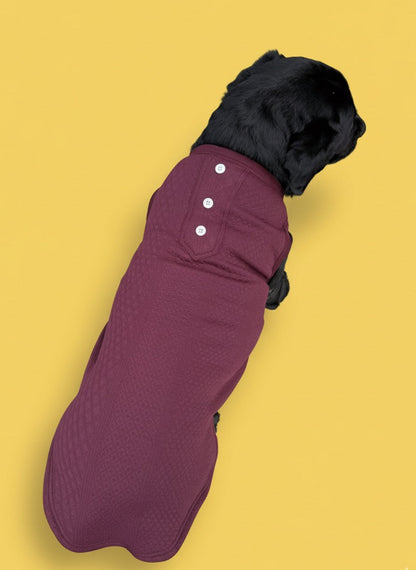 LuckyPaws Maroon Colour Sweater