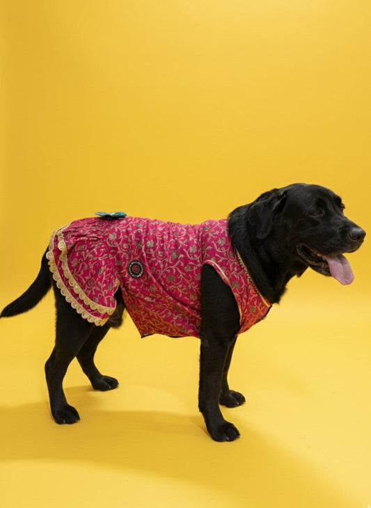 LuckyPaws Ethnic  Frock Rani Pink Colour