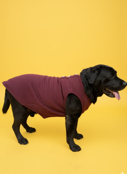 LuckyPaws Maroon Colour Sweater