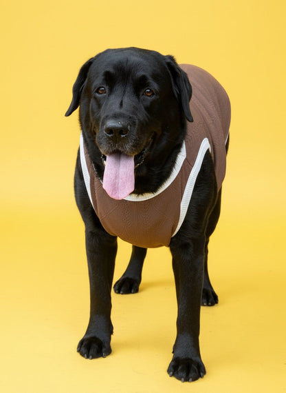 LuckyPaws Brown Colour Sweater
