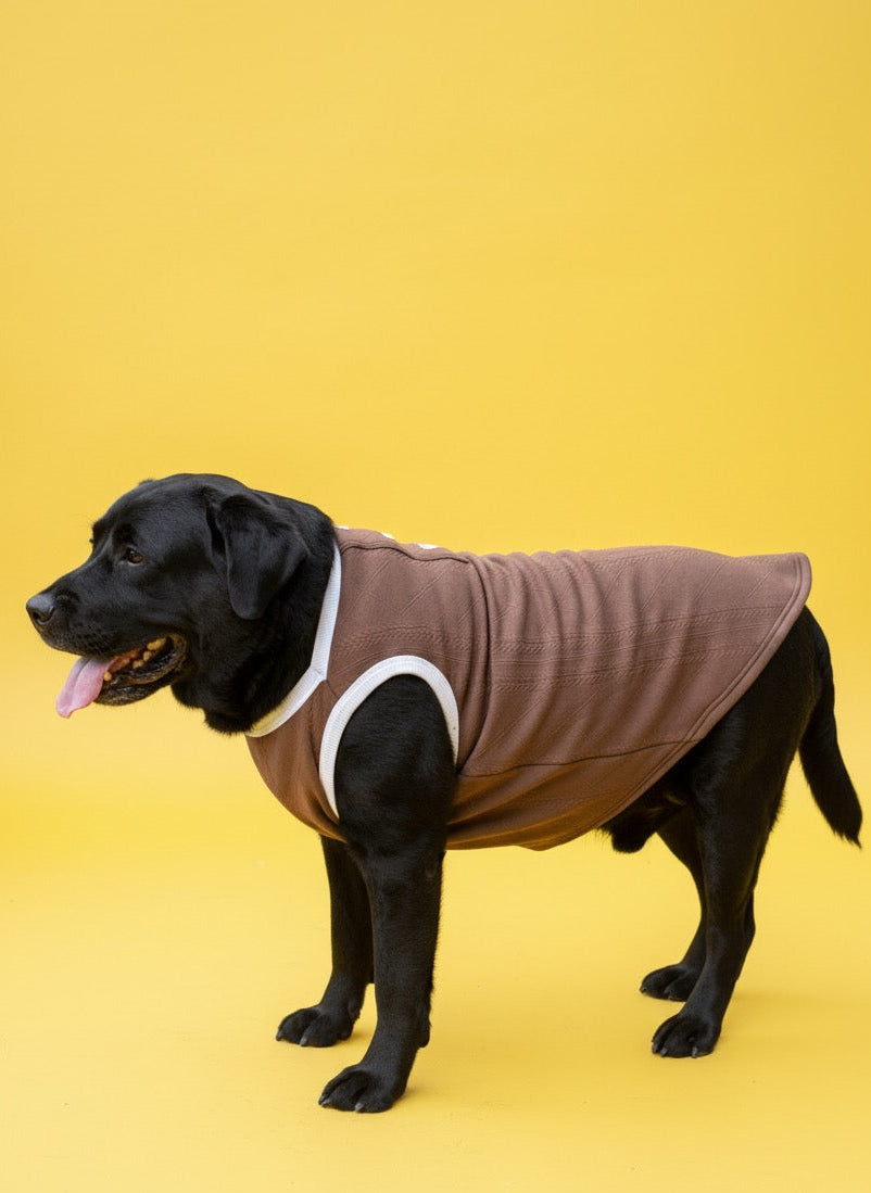LuckyPaws Brown Colour Sweater