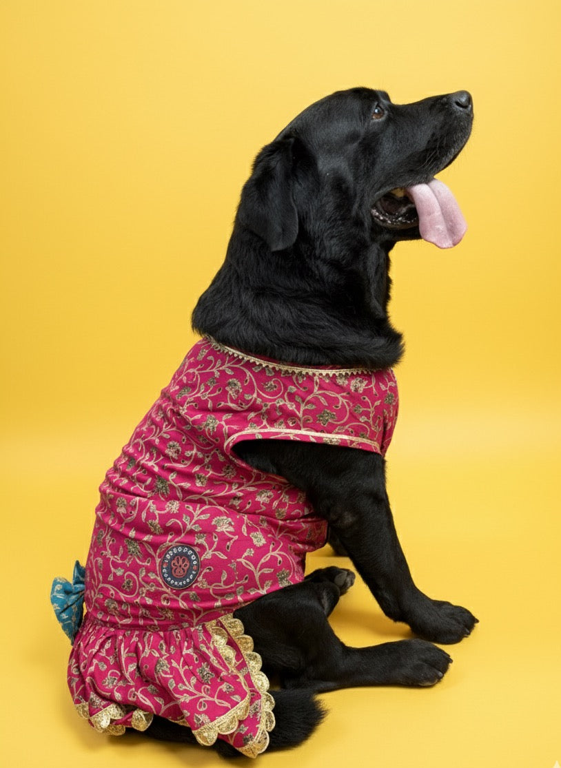 LuckyPaws Ethnic  Frock Rani Pink Colour
