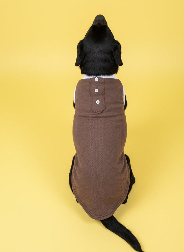 LuckyPaws Brown Colour Sweater