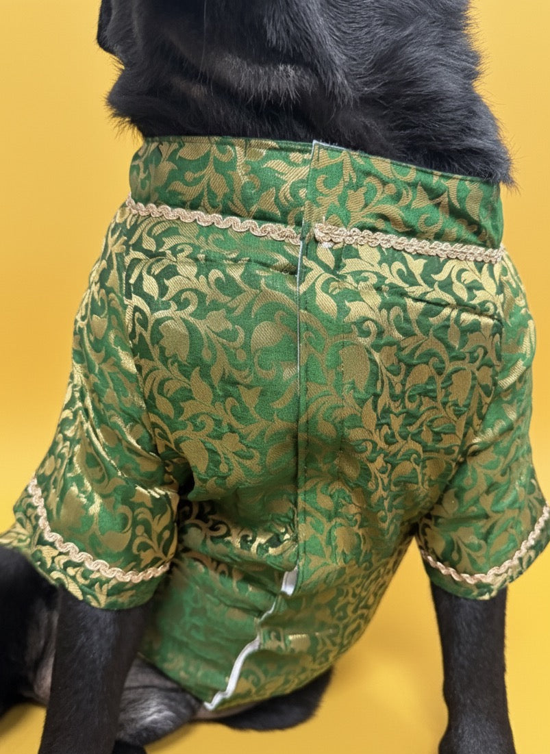 LuckyPaws Ethnic Sherwani Green Colour