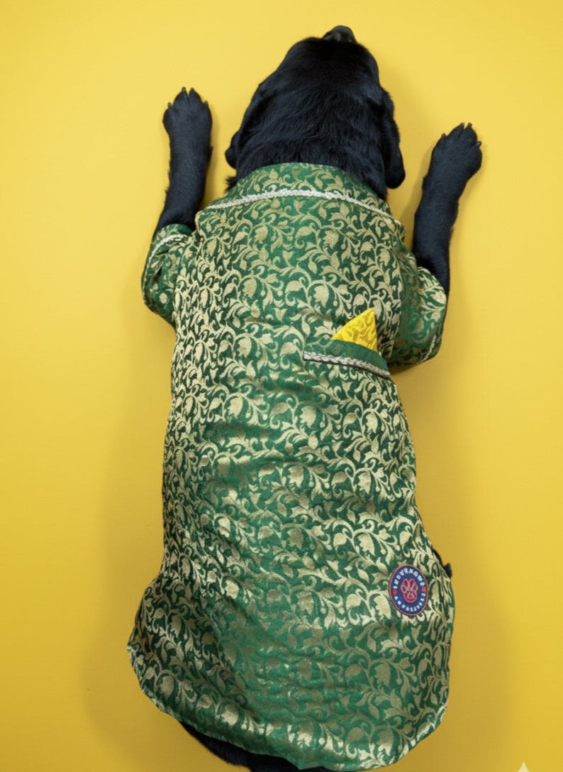 LuckyPaws Ethnic Sherwani Green Colour