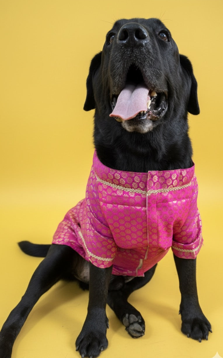 LuckyPaws  Ethnic Sherwani Pink Colour