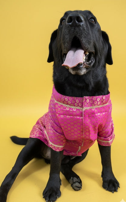 LuckyPaws  Ethnic Sherwani Pink Colour