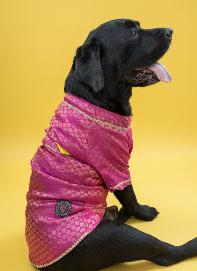 LuckyPaws  Ethnic Sherwani Pink Colour