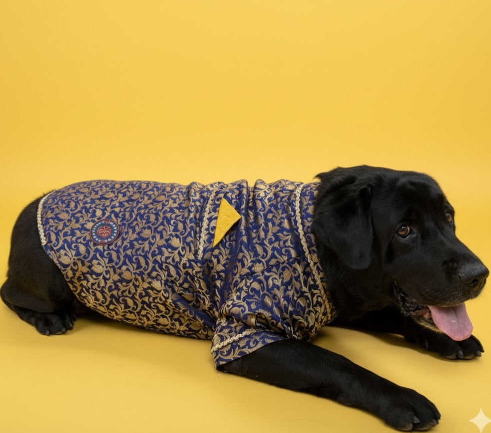 LuckyPaws Ethnic  Sherwani Blue Colour