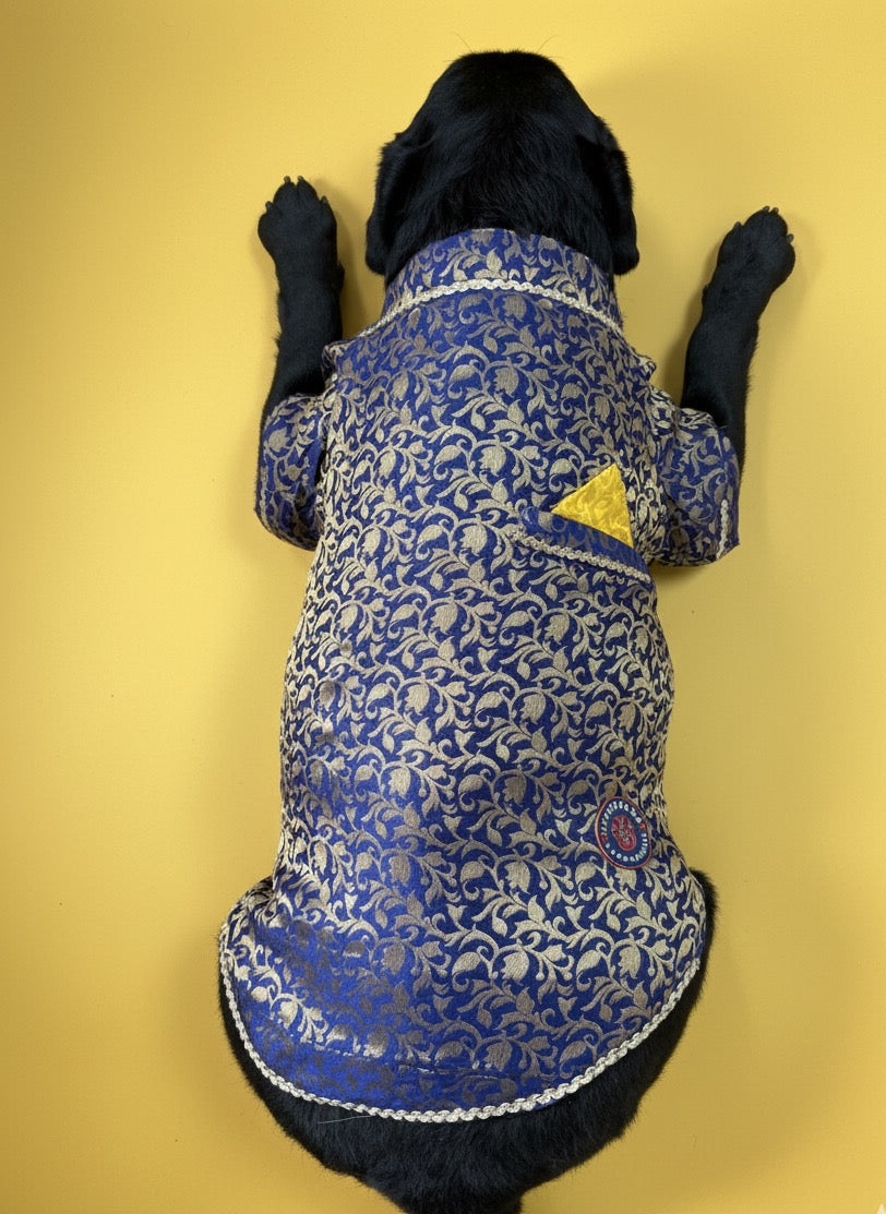 LuckyPaws Ethnic  Sherwani Blue Colour