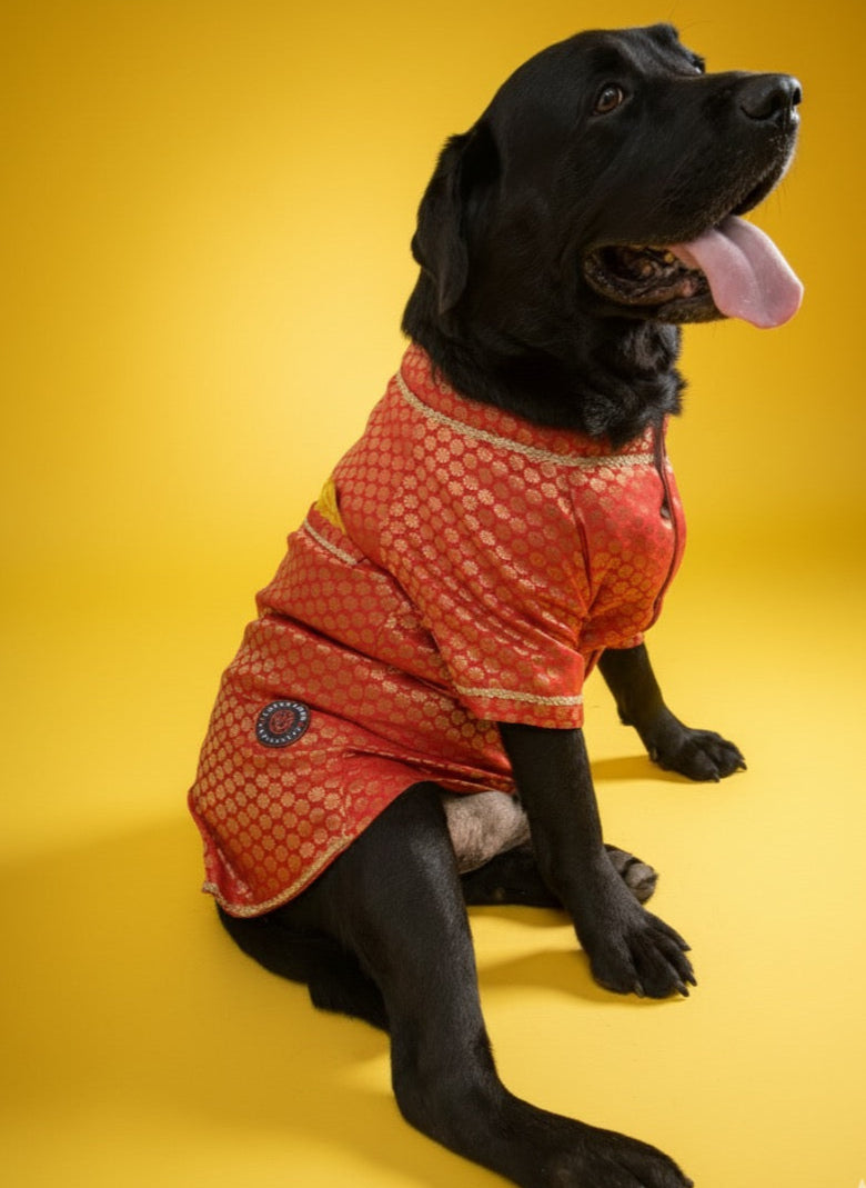 LuckyPaws Ethnic Sherwani Red Colour