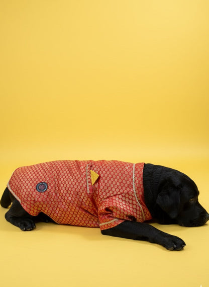 LuckyPaws Ethnic Sherwani Red Colour