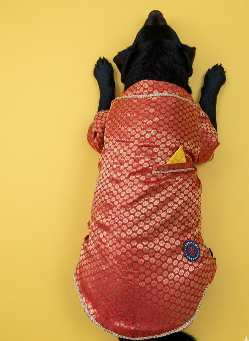 LuckyPaws Ethnic Sherwani Red Colour