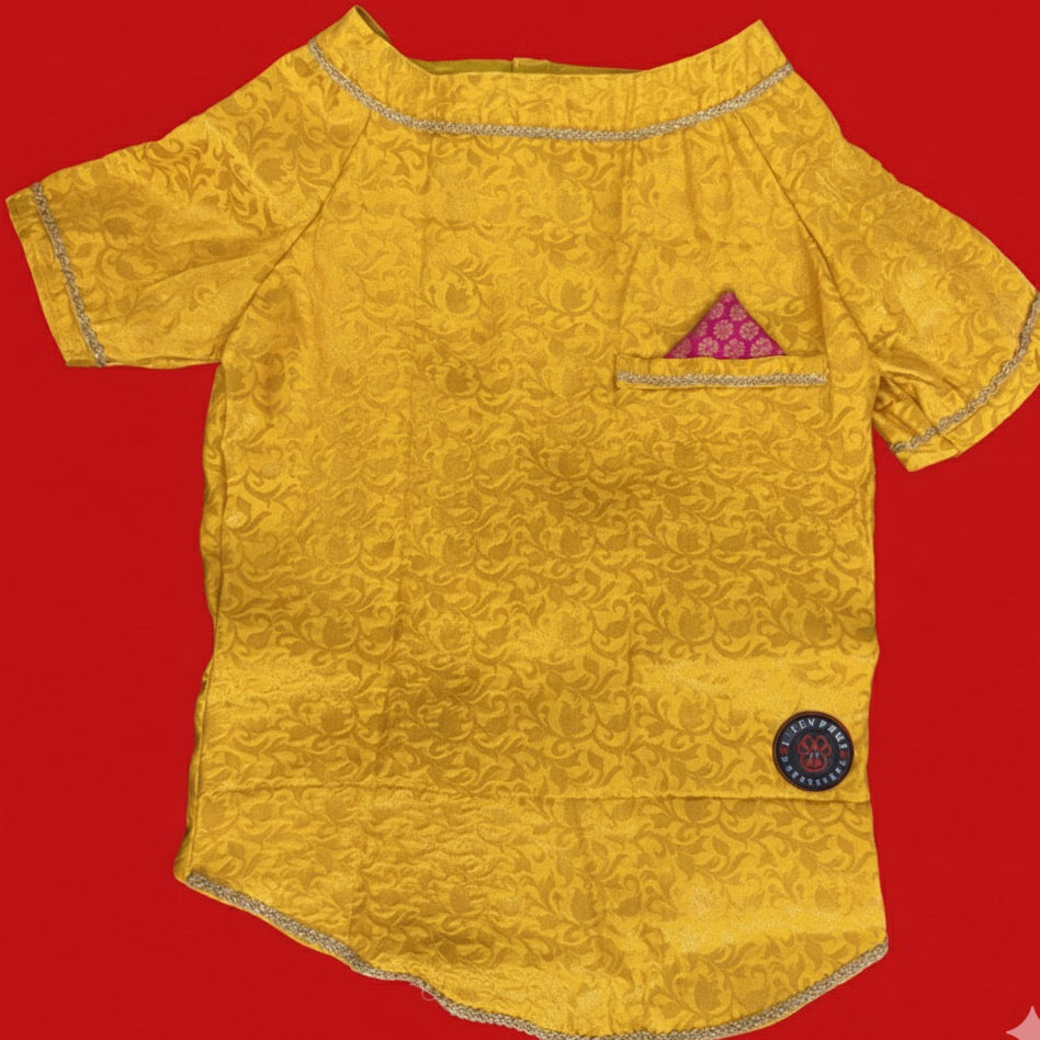 LuckyPaws Ethnic Sherwani Yellow Colour