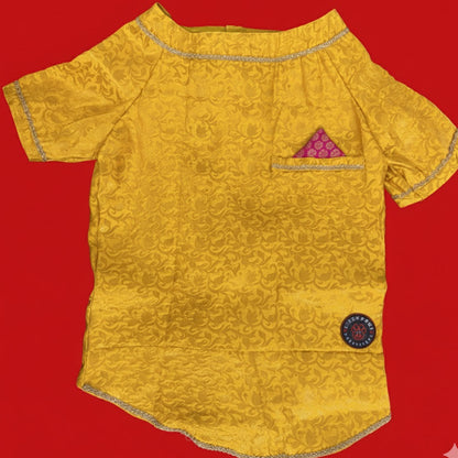LuckyPaws Ethnic Sherwani Yellow Colour