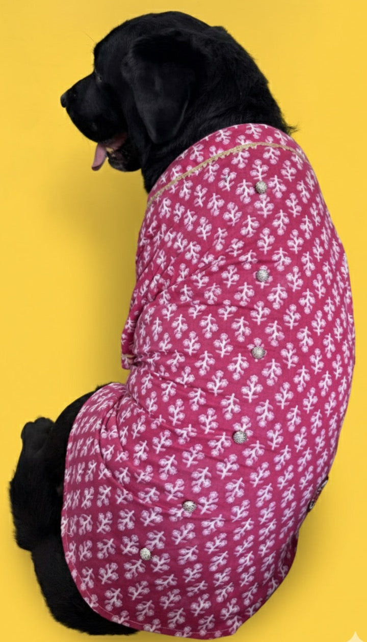 LuckyPaws  Ethnic Kurta Pink Colour