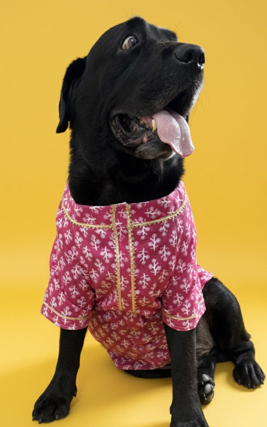 LuckyPaws  Ethnic Kurta Pink Colour