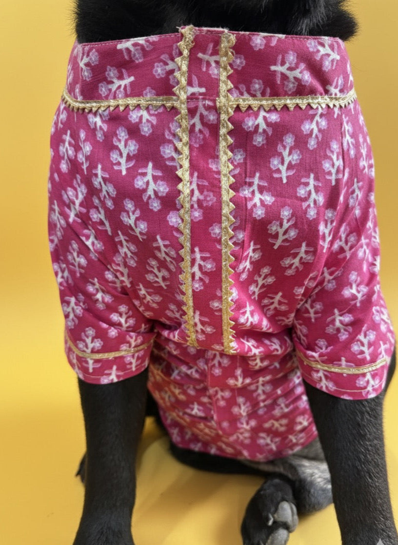 LuckyPaws  Ethnic Kurta Pink Colour