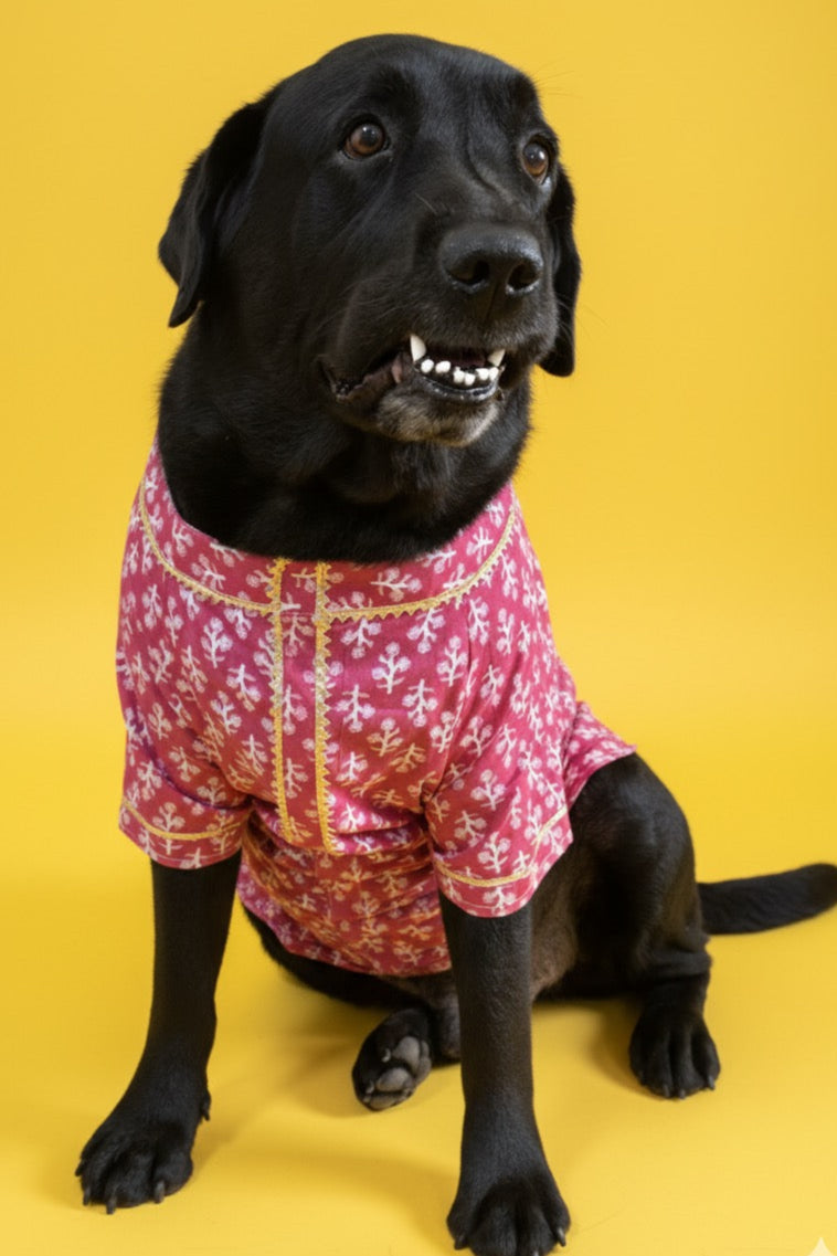 LuckyPaws  Ethnic Kurta Pink Colour
