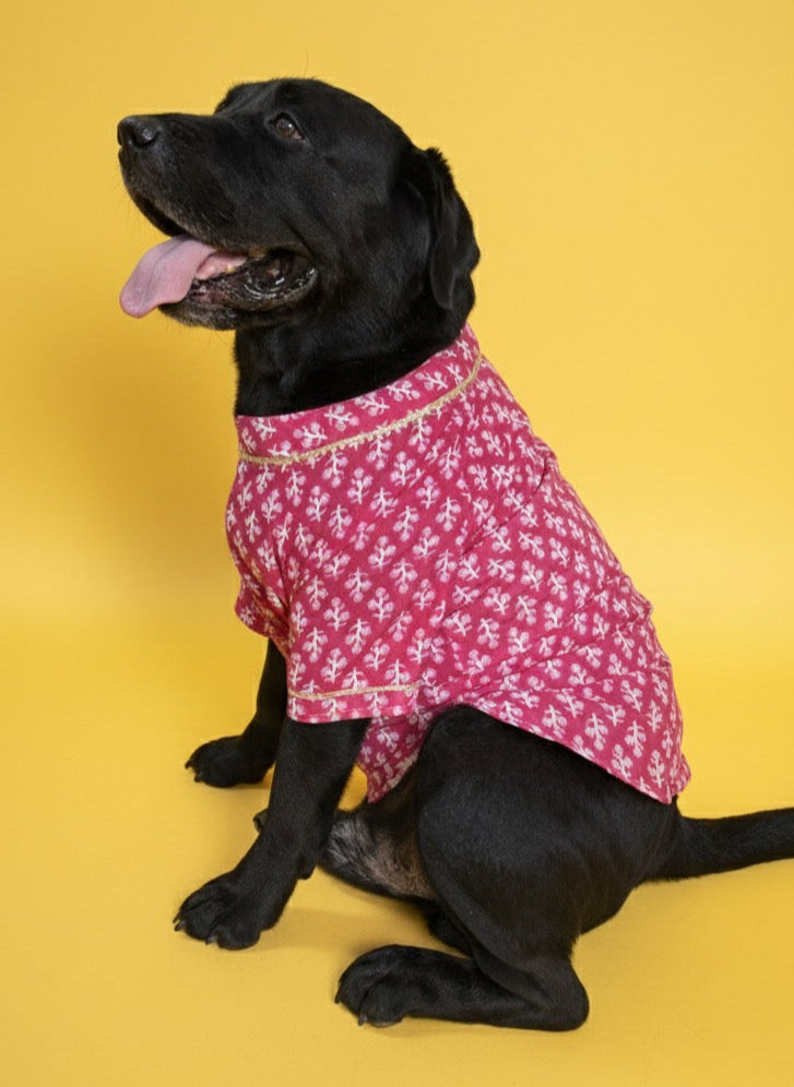 LuckyPaws  Ethnic Kurta Pink Colour