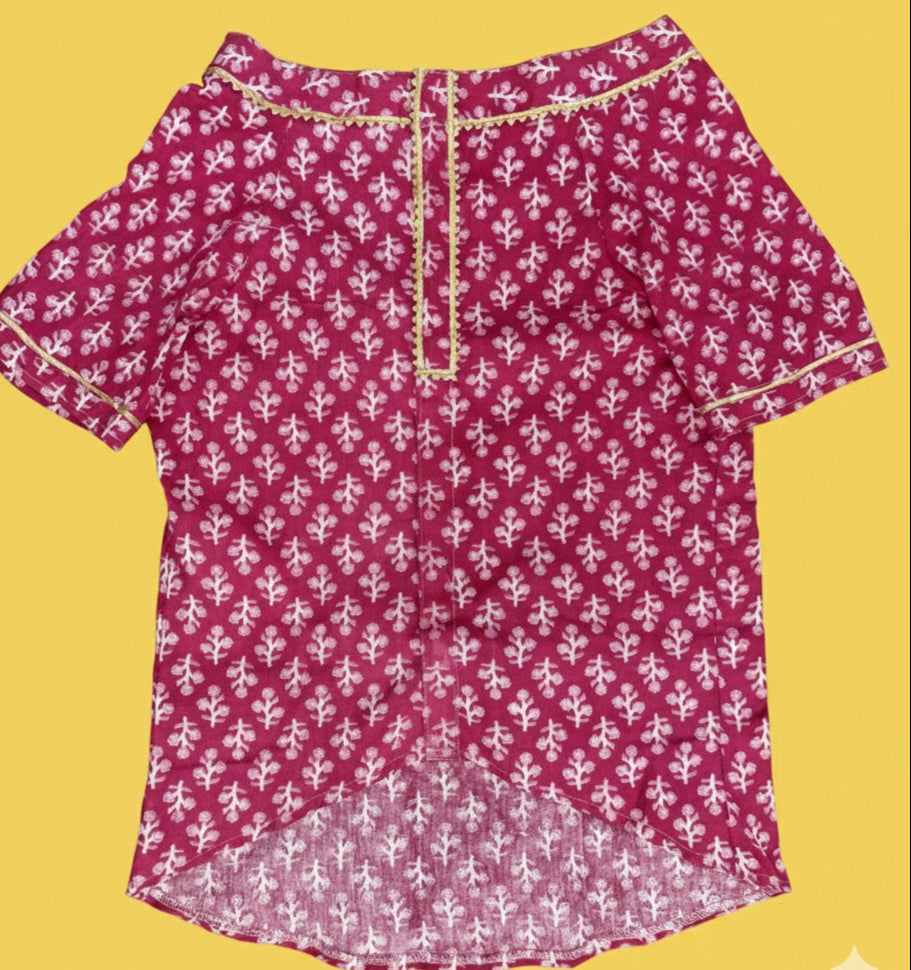 LuckyPaws  Ethnic Kurta Pink Colour