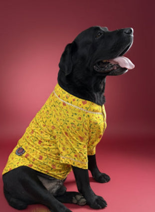 LuckyPaws  Ethnic Kurta Yellow Colour