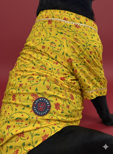 LuckyPaws  Ethnic Kurta Yellow Colour