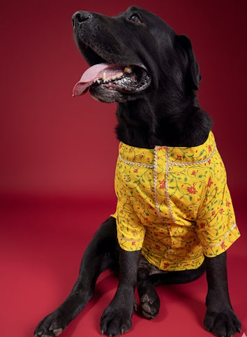 LuckyPaws  Ethnic Kurta Yellow Colour