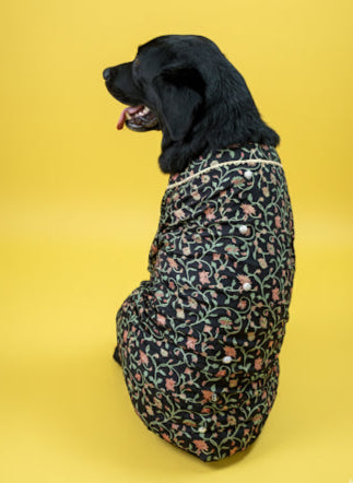 LuckyPaws Ethnic Kurta Black Colour