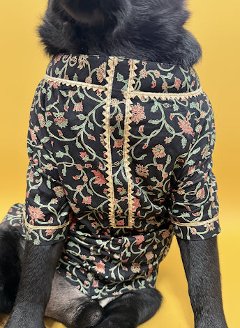 LuckyPaws Ethnic Kurta Black Colour