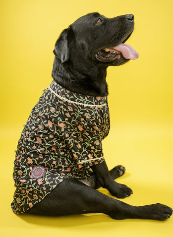 LuckyPaws Ethnic Kurta Black Colour