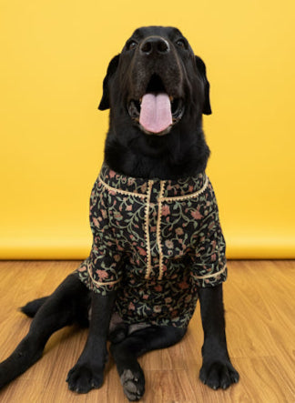 LuckyPaws Ethnic Kurta Black Colour