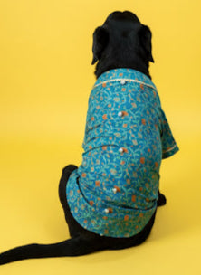 LuckyPaws  Ethnic Kurta Blue Colour