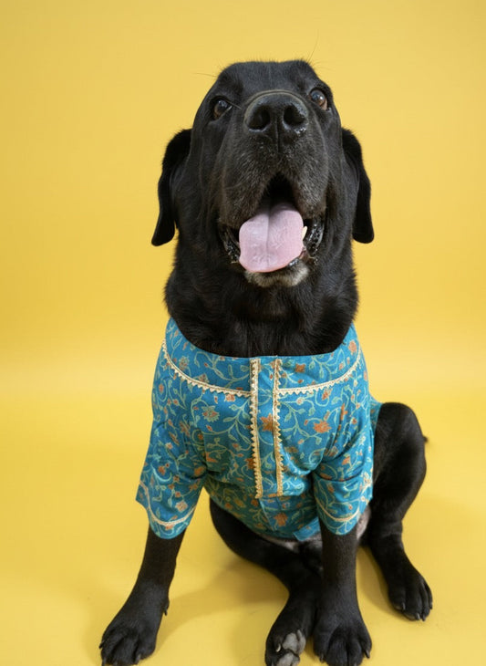 LuckyPaws  Ethnic Kurta Blue Colour