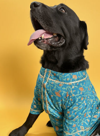 LuckyPaws  Ethnic Kurta Blue Colour