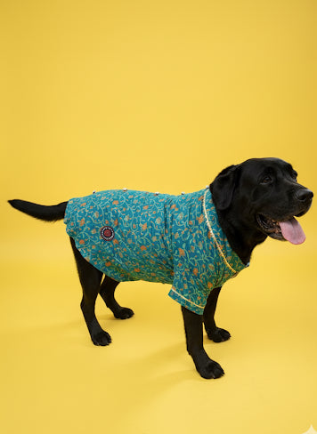 LuckyPaws  Ethnic Kurta Blue Colour