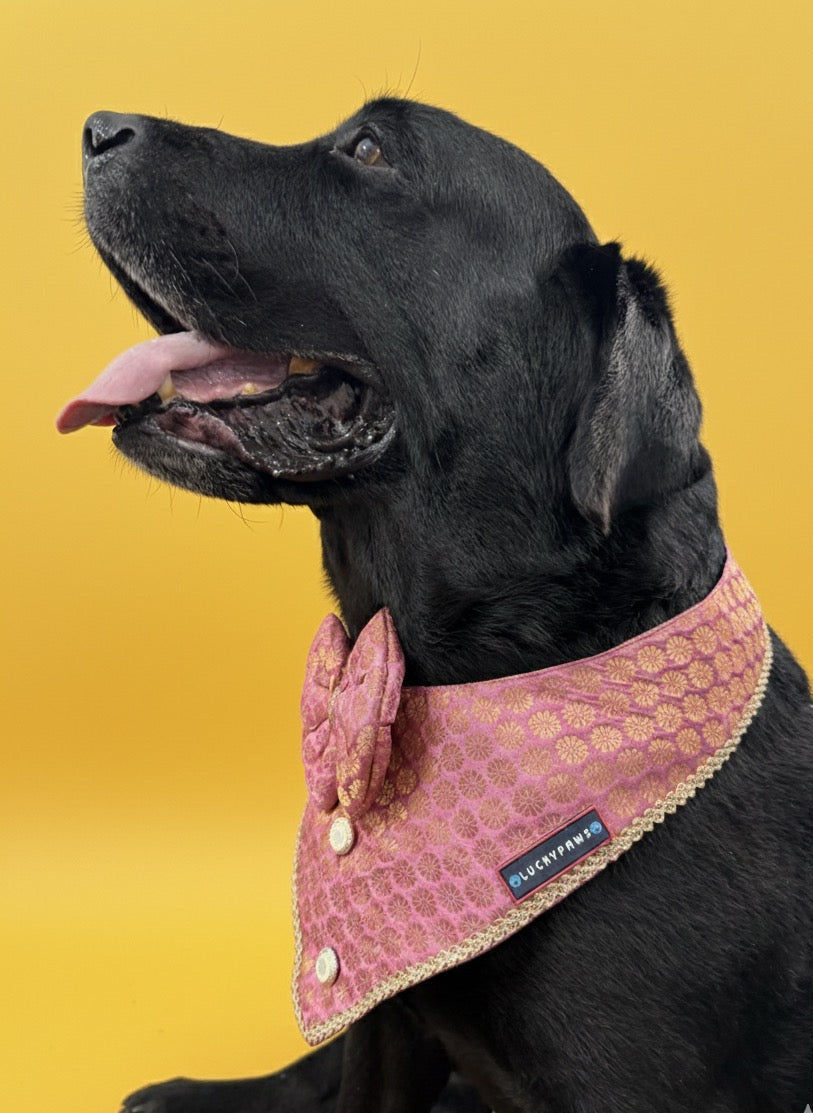 LuckyPaws Ethnic Bandana Pink Colour