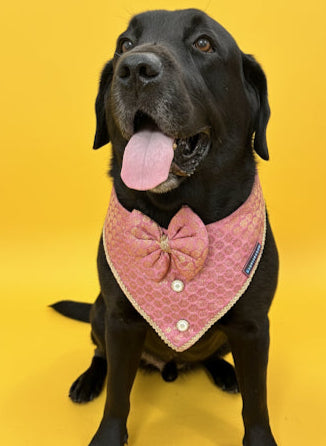 LuckyPaws Ethnic Bandana Pink Colour