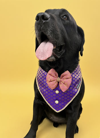 LuckyPaws Ethnic purple Bandana With Pink Boe