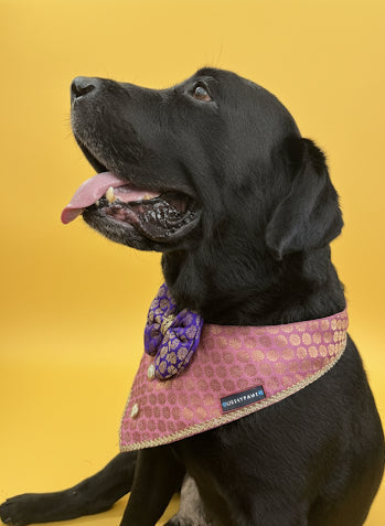 LuckyPaws Ethnic Pink Bandana With Purple Boe
