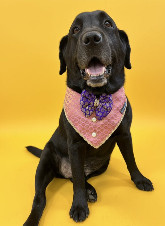 LuckyPaws Ethnic Pink Bandana With Purple Boe