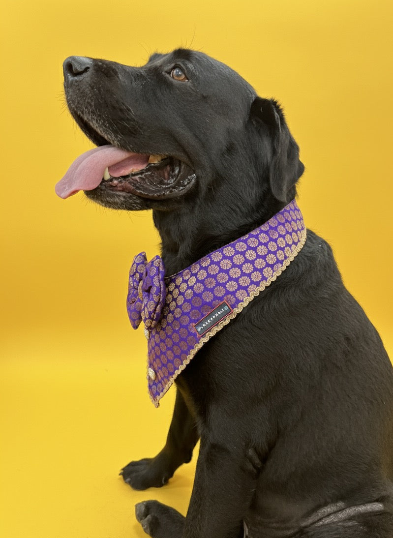 LuckyPaws Ethnic Bandana Purple Colour